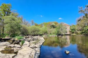 Maisons de vacances Le Moulin de Froment 2 gites de 8 et de 12 couchages, 10 min du Puy du Fou : photos des chambres