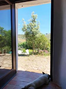 The Stream House - Montes da Ronha