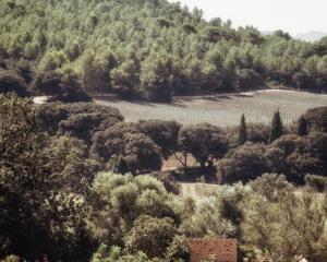 Camí des Racó. Ctra. de Cala Mitjana Km1.5, 07579, Majorca, Spain.