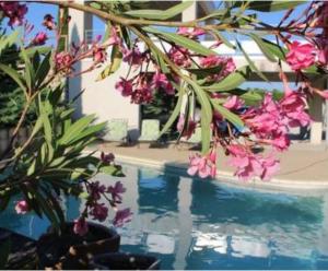 Appartements Gite Les Vignes Piscine et Spa : photos des chambres