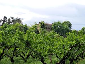 Maisons d'hotes GITES DES LOYES : photos des chambres