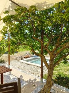 Suite con Piscina Privata