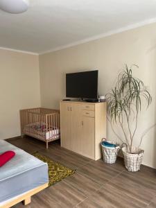 Bor-Túra Apartman
