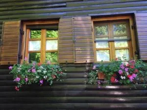 Holiday Home Snow Hill - Prijeboj