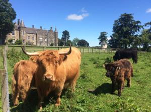 Oldmeldrum, Aberdeenshire, AB51 0AE, Scotland.