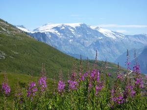 Hotels Les Glieres - Champagny-en-Vanoise : photos des chambres