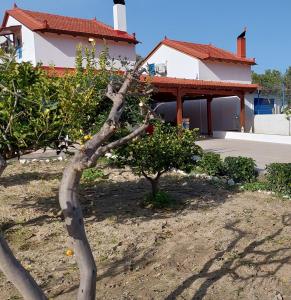 Aleyna house Lindos area