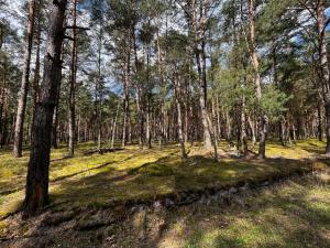 Heban Forest Cabin&SAUNA Starlink
