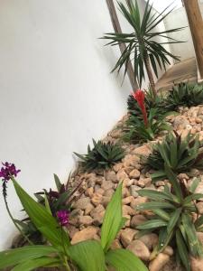 Pousada Bonita do Gostoso