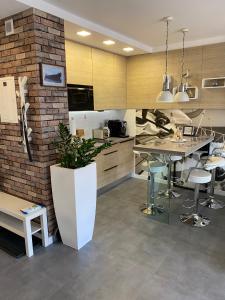 Apartament Svenita