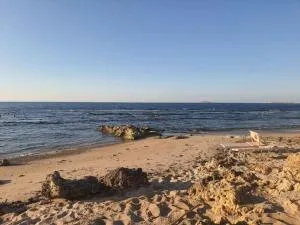 Casa Poseidonia - intero alloggio in riva al mare - Torretta