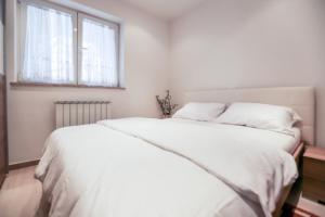 Papillon- free parking