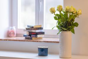 Apartamenty Kamienica Gwiazda - Centrum miasta, parking gratis