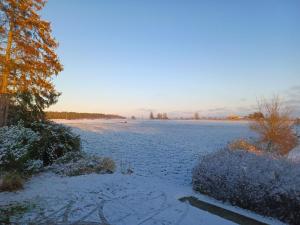 Ferienhaus Dünenhaus