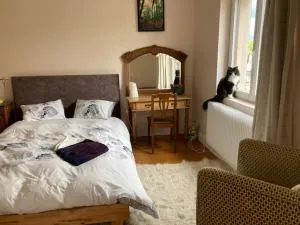 Les Pommiers - Chambres d'hôtes - Rosheim