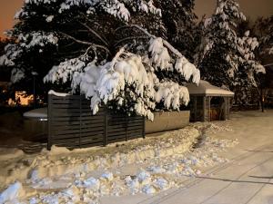 Apartamenty Pasternik 7