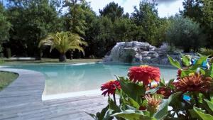 Chalets Domaine D'Erras -colibri - : photos des chambres