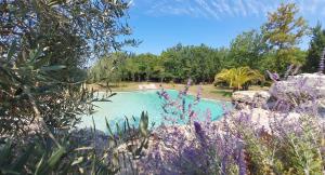 Domaine DErras -colibri -