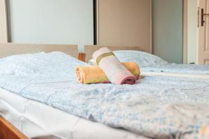 Rustic Central Belgrade Stay