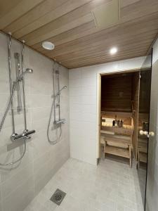 Arctic Deluxe Residence