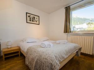 Appartement calme en centre-ville avec terrasse et vue Mont-Blanc, Chamonix - FR-1-343-198
