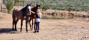 Phumelela Private Game Farm