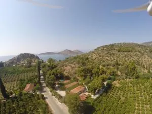 XeniCamp & Bungalows - 阿斯尼