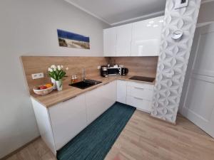 Spacious apartment with private terrace and garden Mielno