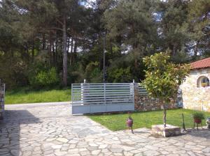 AMISIANA LITTLE BEAUTY NEXT TO NATURE