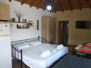 AMISIANA LITTLE BEAUTY NEXT TO NATURE