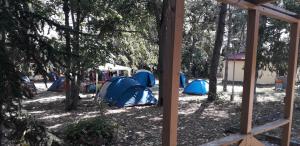 Къмпинг ЕНЕРДЖИ