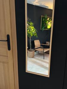 Appartements Pink Tropical Champagne : photos des chambres