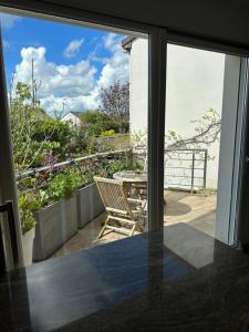 Appartements Pink Tropical Champagne : photos des chambres