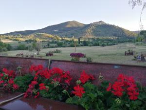 Agriturismo Il Marrucheto