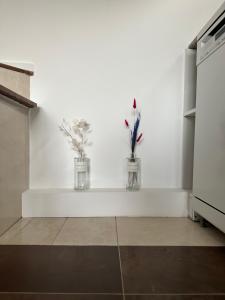 Appartements Pink Tropical Champagne : photos des chambres