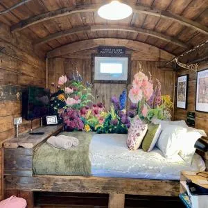 Skipbridge Farm Glamping - Tockwith
