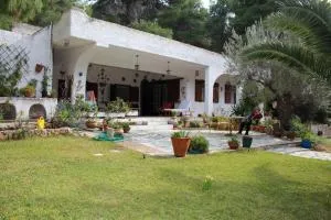 Tsuderos - 索菲孔