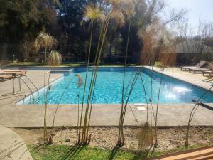 Cabañas Refugio El Molle