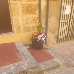 LA FORMICA APARTMENT