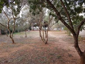 Preveza - The house by the sea