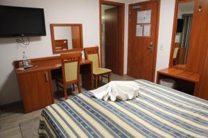 Single Room room in Hotel Drive In