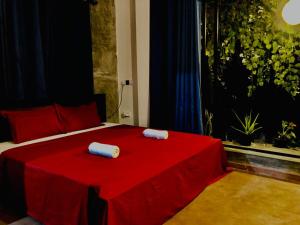 SunshineJP Guest House and bick rentel