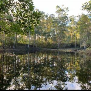 Oakey Creek Country Retreat Kenilworth