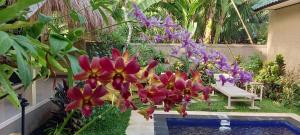 Ulami Guest House Tejakula