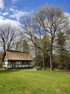 Małanka - kaszubska chëcz - Lewinko