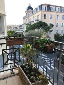 Appartements Plein centre de Beaulieu : photos des chambres