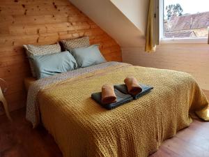 Chambres dhôtes - la Puysæ