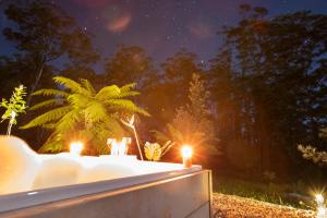 Dorrigo Bush Pepper Retreat