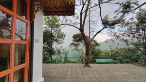 Hide and seek Residency