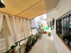 Tenerife Experience Hostel